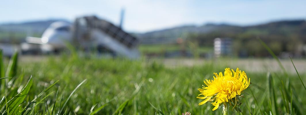 People's-Klima-CO2-Emissionsbeitrag People's-Klima-CO2-Emissionsbeitrag