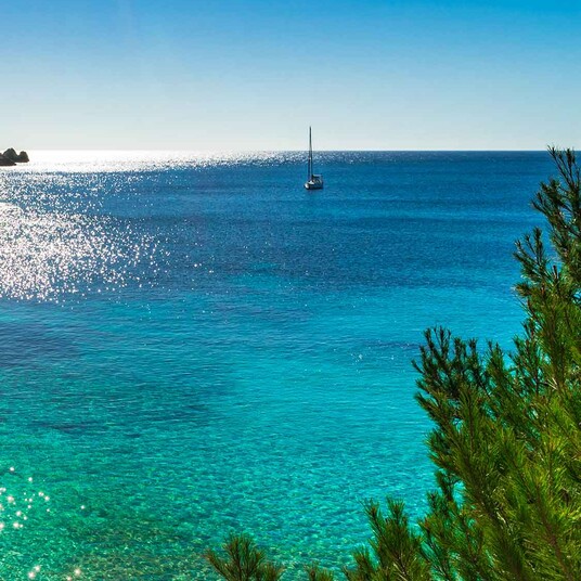 People's, ab Altenrhein nach Palma de Mallorca People's, ab Altenrhein nach Palma de Mallorca